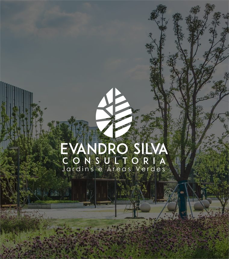 Evandro Silva Consultoria