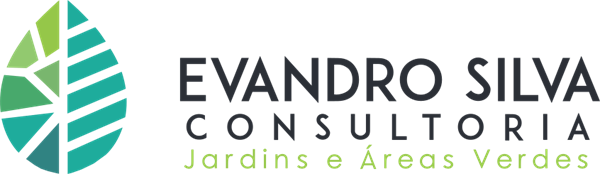 Evandro Silva Consultoria